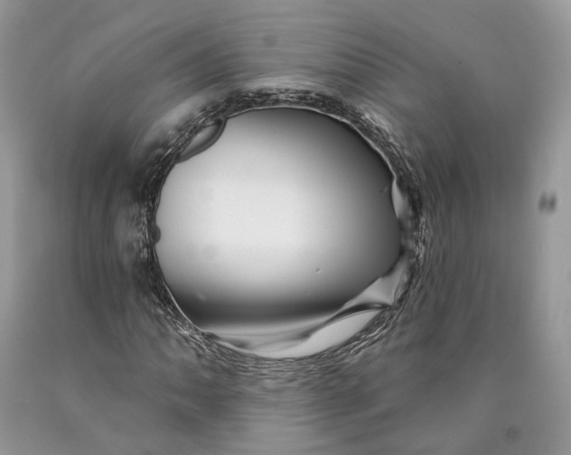 X0000089911062200707201751