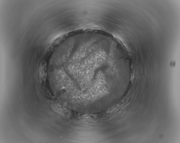 X0000089911063200707201751