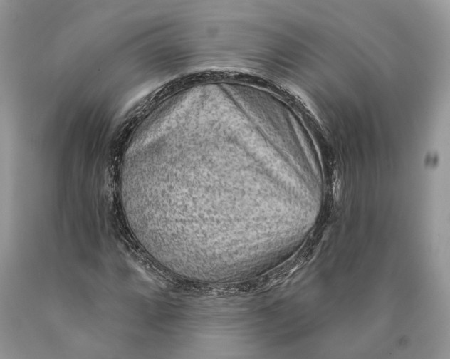 X0000089911064200707201751