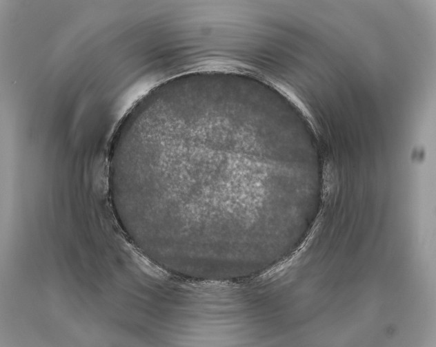 X0000089911067200707201751