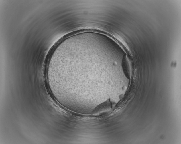 X0000089911068200707201751