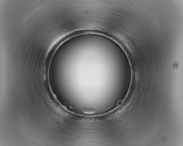 X0000089911069200707201751