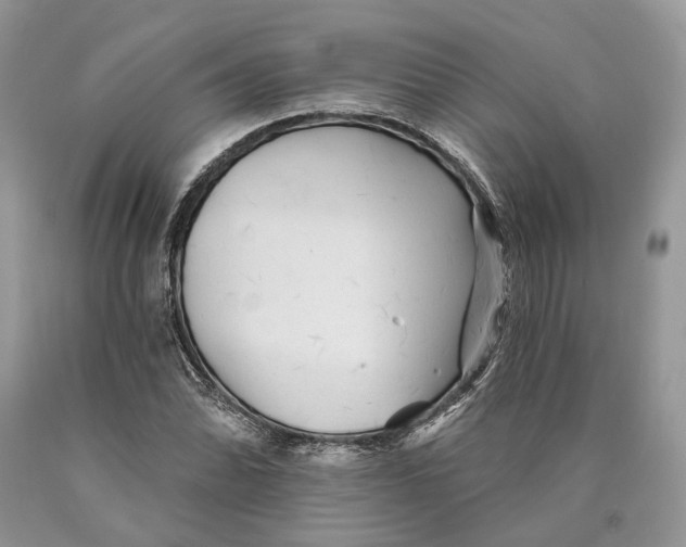 X0000089911070200707201751