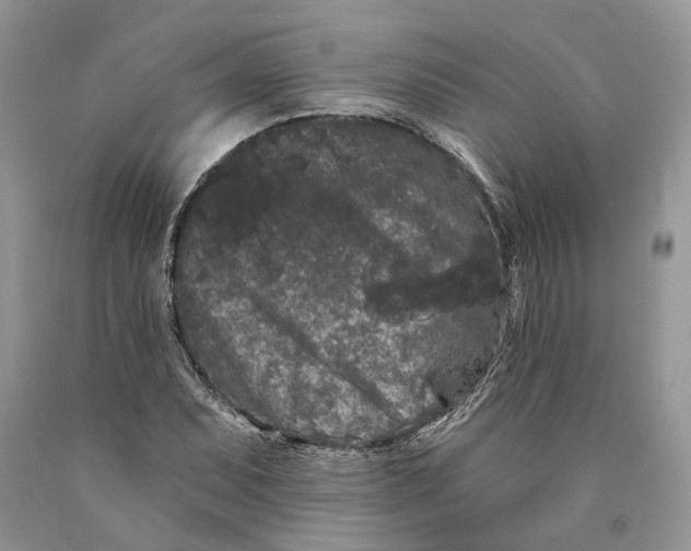 X0000089911071200707201751