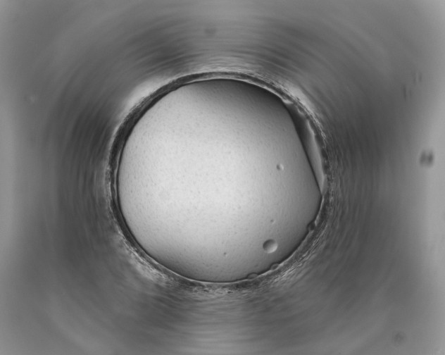 X0000089911072200707201751