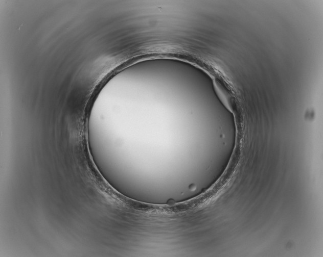 X0000089911073200707201751