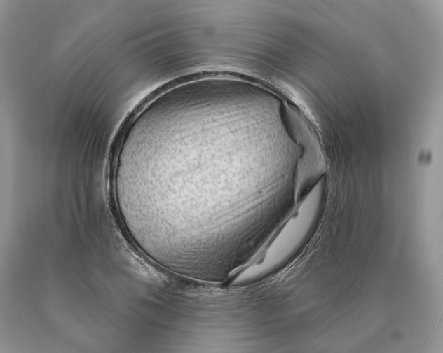 X0000089911076200707201751