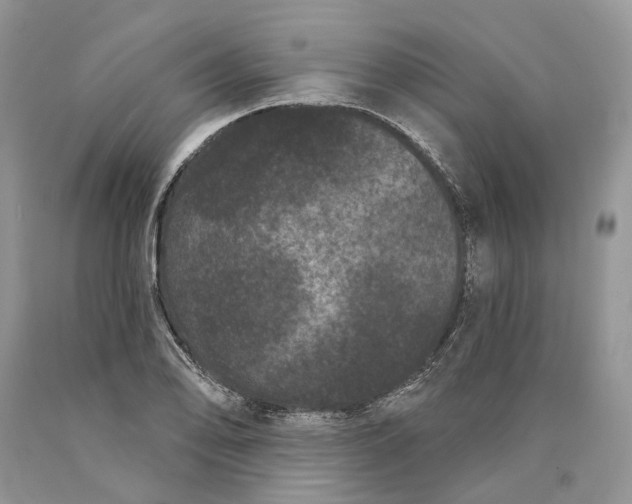X0000089911078200707201751