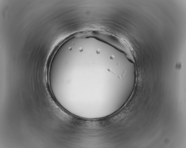 X0000089911080200707201751