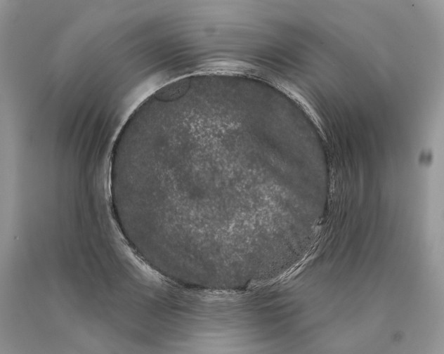 X0000089911083200707201751