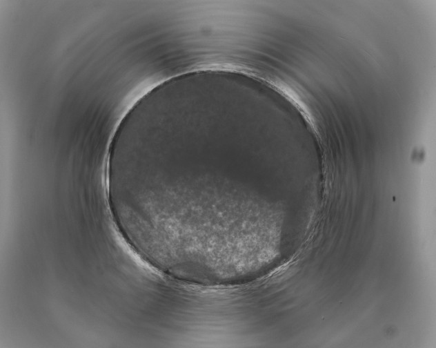 X0000089911084200707201751