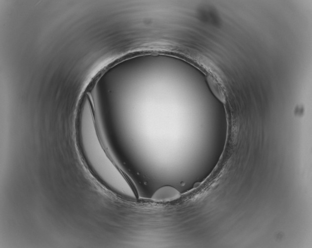 X0000089911085200707201751