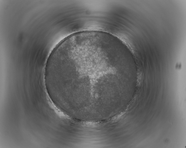 X0000089911086200707201751