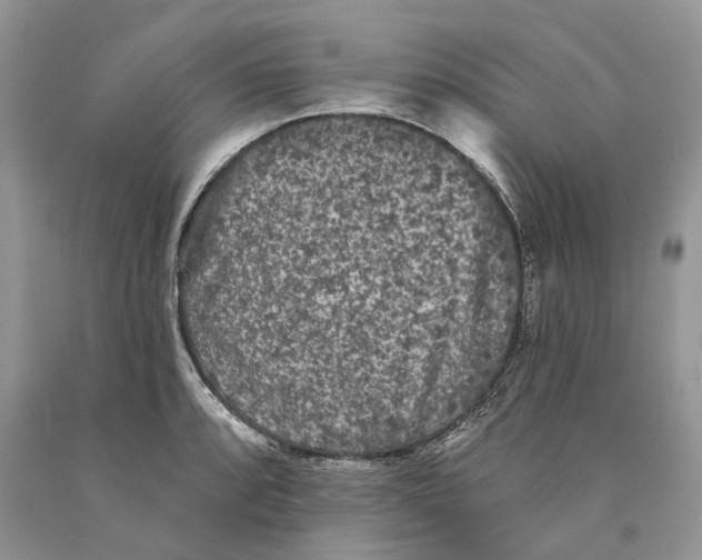 X0000089911088200707201751