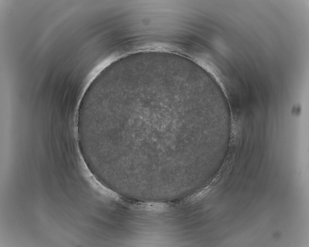 X0000089911090200707201751