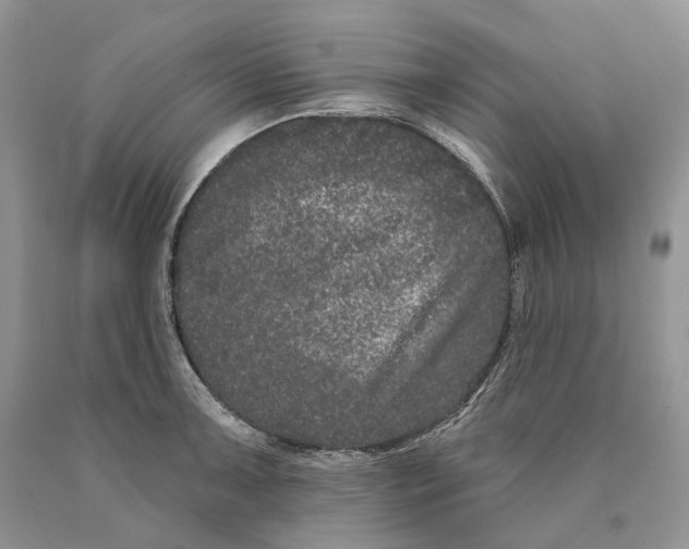 X0000089911091200707201751