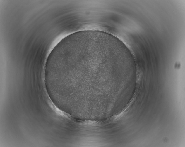 X0000089911094200707201751