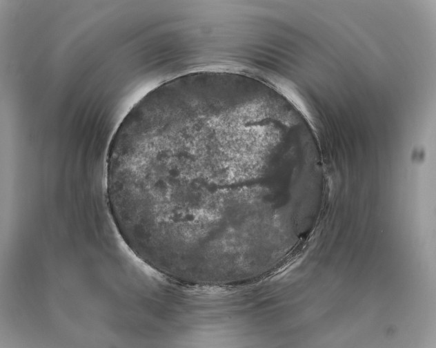 X0000089911095200707201751