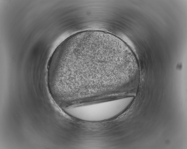 X0000089911096200707201751