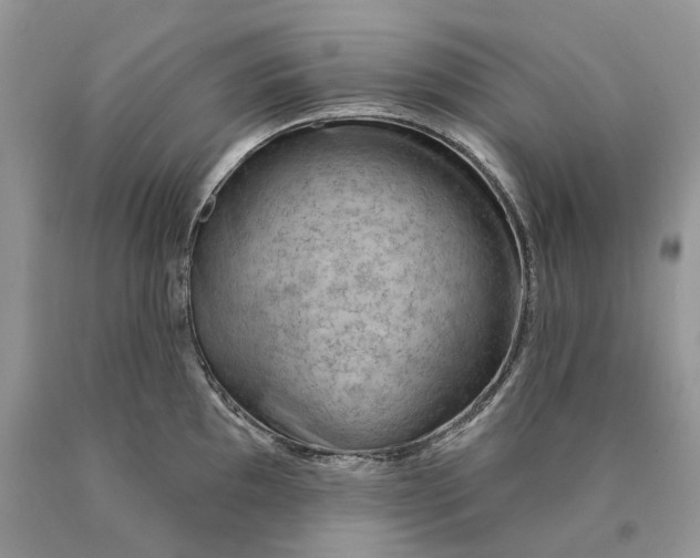 X0000089911097200707201751