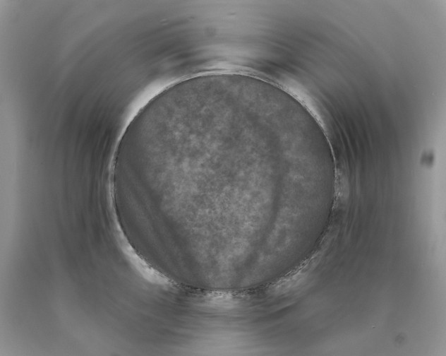 X0000089911098200707201751
