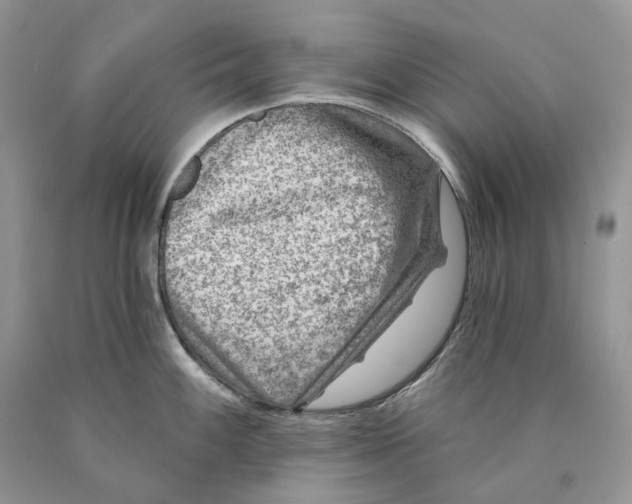 X0000089911100200707201751
