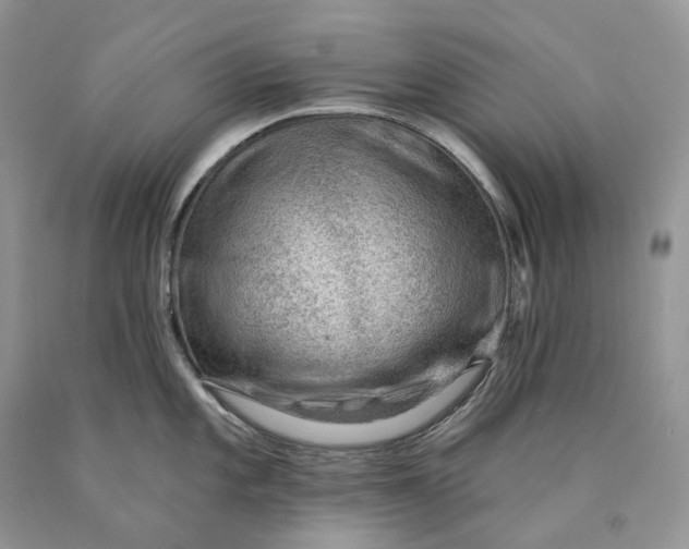 X0000089911101200707201751