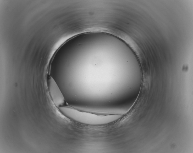 X0000089911102200707201751
