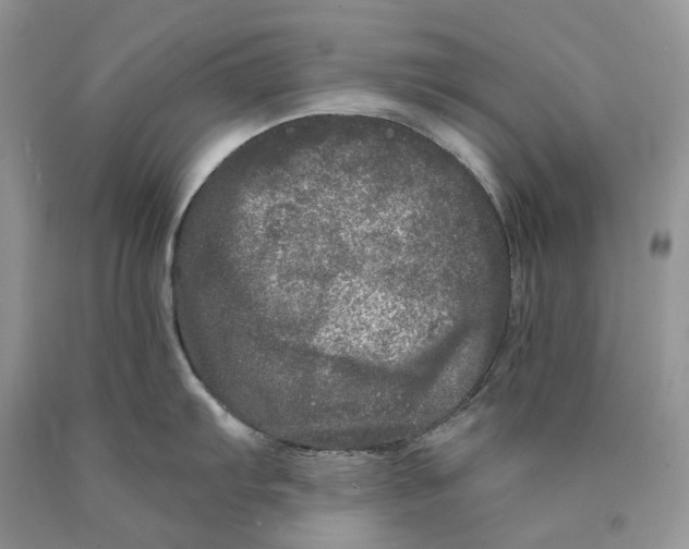 X0000089911103200707201751