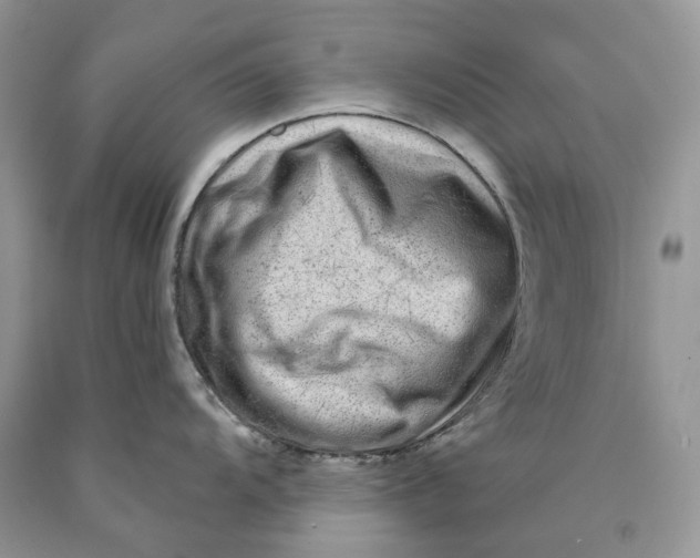 X0000089911104200707201751