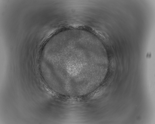 X0000089911105200707201750