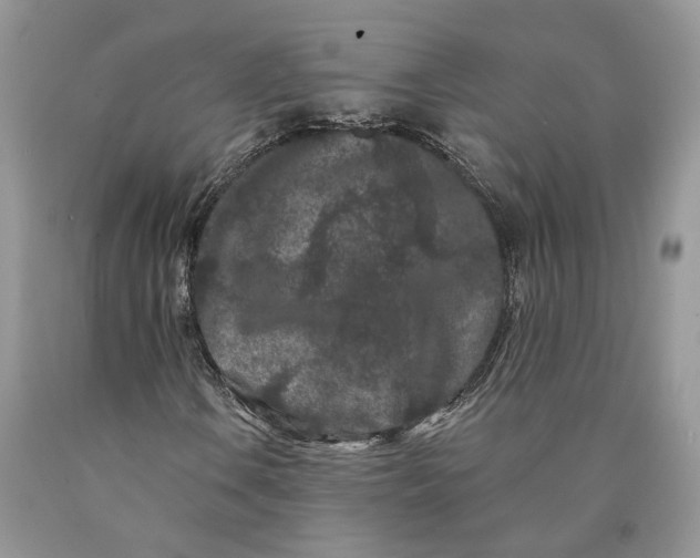 X0000089911106200707201750