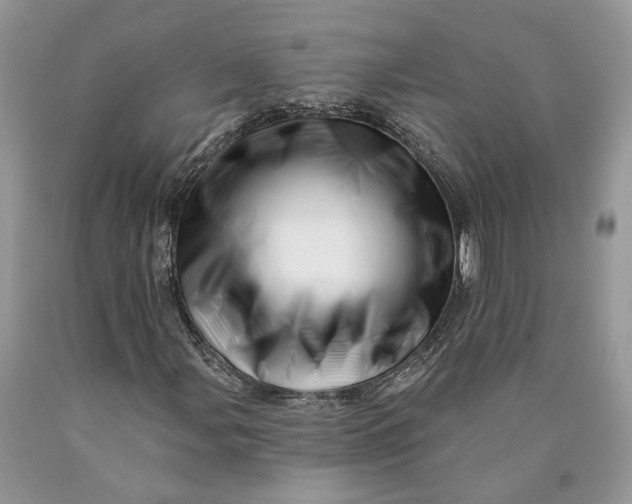 X0000089911107200707201750