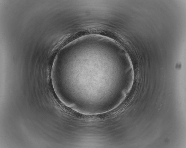 X0000089911108200707201750