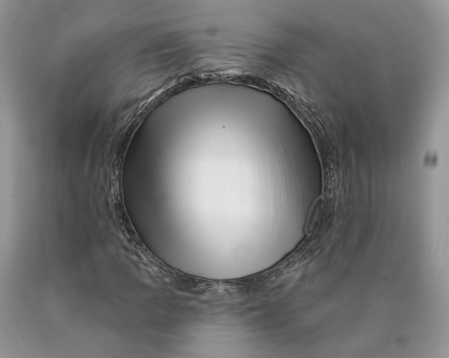 X0000089911109200707201750