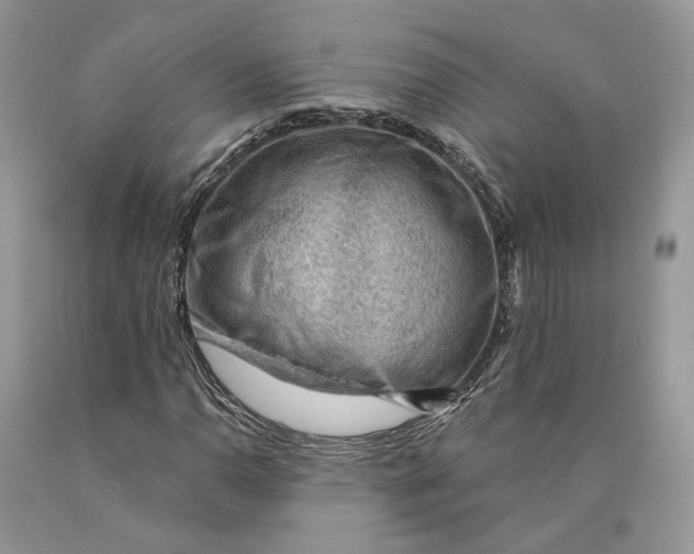 X0000089911110200707201750