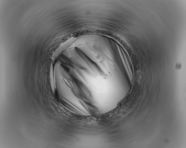 X0000089911111200707201750