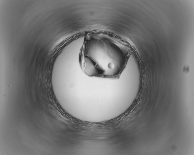 X0000089911112200707201750