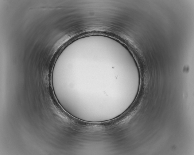 X0000089911113200707201750