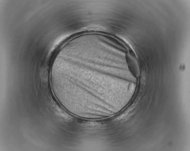X0000089911115200707201750