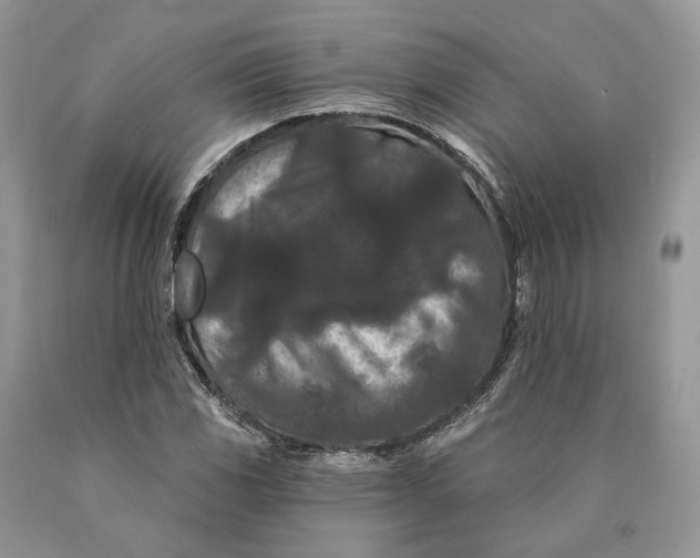 X0000089911117200707201750