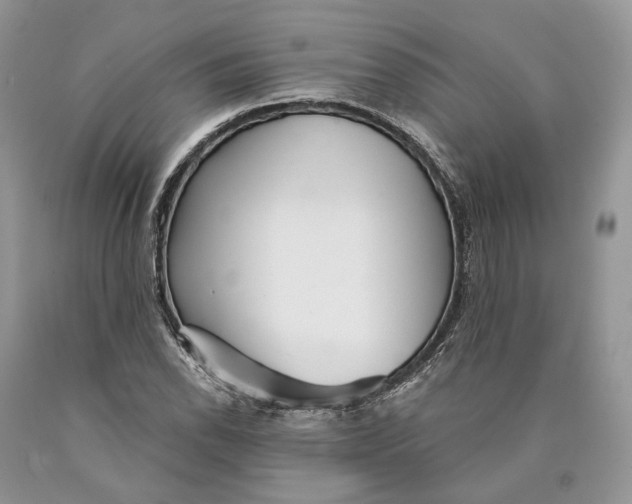 X0000089911118200707201750