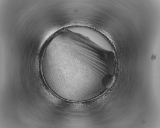 X0000089911120200707201750