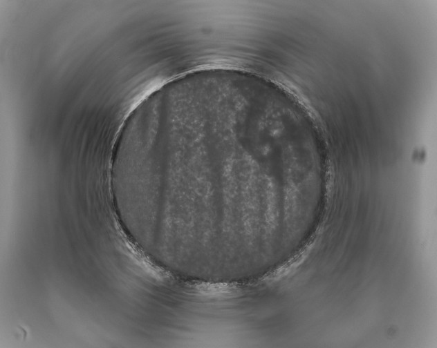 X0000089911121200707201750