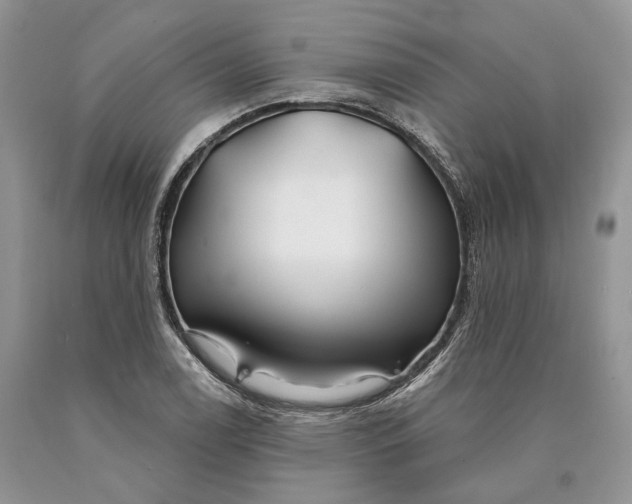 X0000089911122200707201750