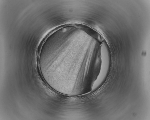 X0000089911124200707201750
