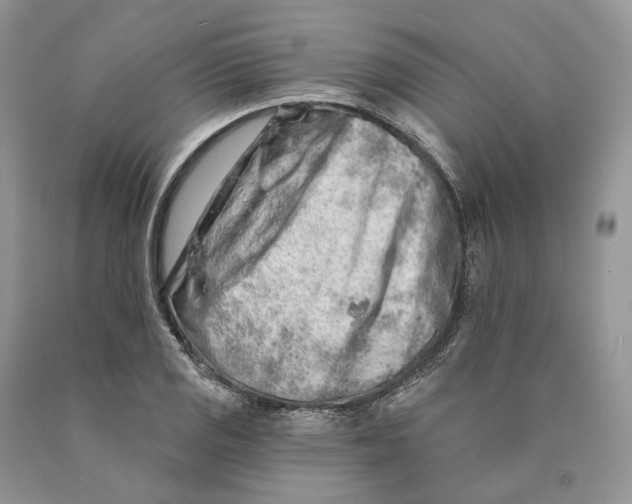 X0000089911125200707201750