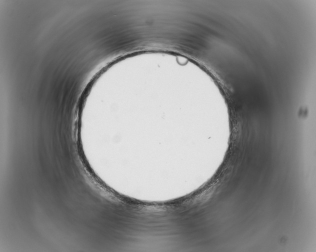 X0000089911126200707201750