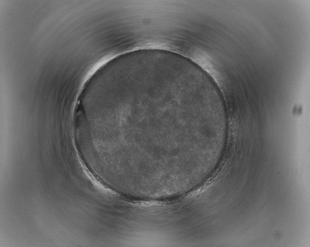 X0000089911127200707201750