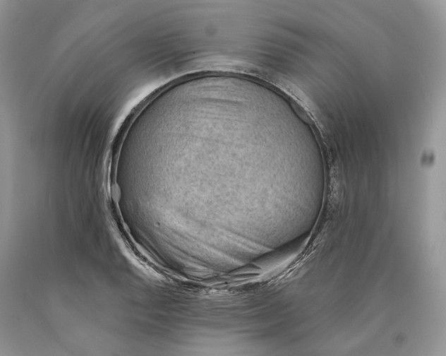 X0000089911128200707201750